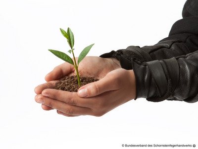 Zwei Schornsteinfeger-Hände halten ein zartes Pflänzchen.
